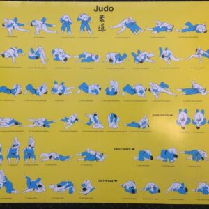 Judo Poster Ne-Waza technieken