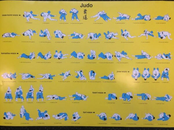 Judo Poster Ne-Waza technieken
